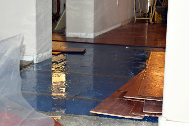 Professional Flood Cleanup technician working in Black Diamond, FL